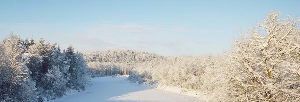 朝の霧の中で吹雪の後 川や雪に覆われた森林や川 木を閉じる 澄んだ空 冬の不思議の国 息をのむような空の景色 ゴーヤ国立公園 シグルダ ラトビア — ストック写真