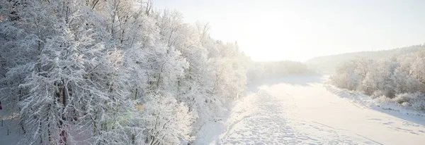 Река Заснеженный Лес Река После Снежной Бури Утреннем Тумане Крупный — стоковое фото