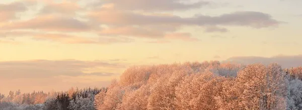 Atmosphärische Landschaft Mit Schneebedeckten Wäldern Und Gefrorenem See Bei Sonnenuntergang — Stockfoto
