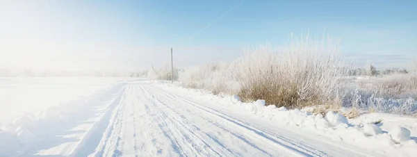 阳光灿烂的日子 白雪覆盖的乡间小路穿过田野 晴朗的蓝天 落叶乔木和常绿树 背景为冻土 Idyllic Winter Landscape — 图库照片