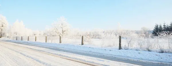마을을 통과하는 눈덮인 시골길 나무들은 서리에 햇빛을 받습니다 라트비아 — 스톡 사진