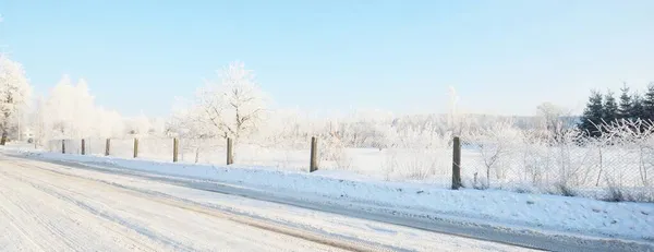 Route Campagne Enneigée Travers Village Grands Arbres Sous Givre Lumière — Photo