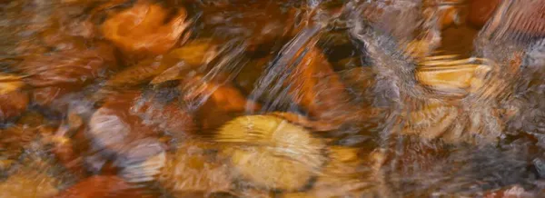 Pierres Galets Colorées Sous Eau Cristalline Rivière Gros Plan Longue — Photo