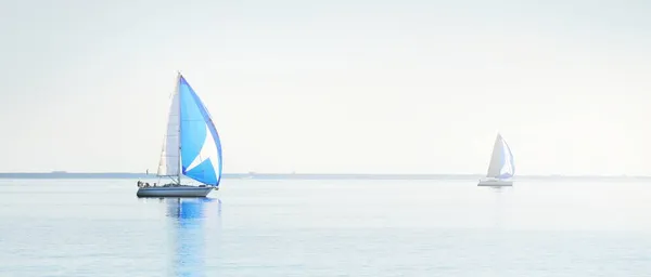 Vitorlás Jacht Regatta Modern Vitorlások Versenyeznek Kék Spinnaker Vitorlákkal Tiszta — Stock Fotó
