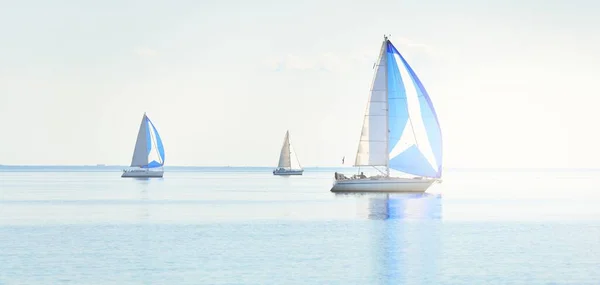 Regaty Jachtów Żaglowych Nowoczesne Żaglówki Wyścigowe Niebieskim Spinakerem Żagle Przejrzysty — Zdjęcie stockowe