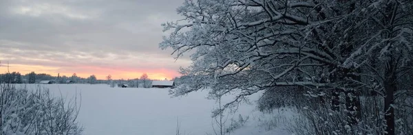 全景覆盖着白雪覆盖的森林和农村地区 背景是古老的传统乡村住宅 日落时分 云雾弥漫 冬天的仙境圣诞假期 — 图库照片