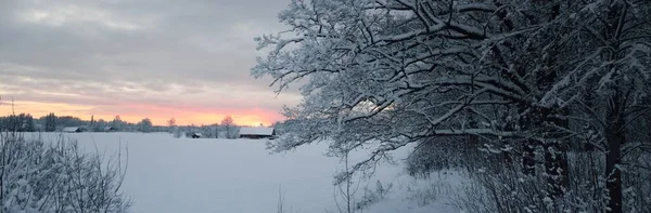 Vue Panoramique Sur Forêt Enneigée Zone Rurale Ancienne Maison Campagne — Photo