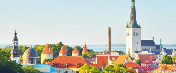 Vista Aérea Del Casco Antiguo Tallin Soleado Día Verano Primer —  Fotos de Stock