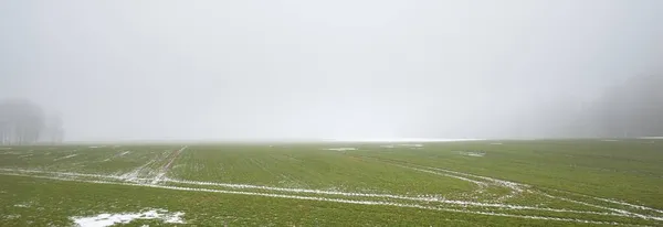 Campo Campo Agrícola Bajo Cielo Sombrío Una Espesa Niebla Nieve —  Fotos de Stock