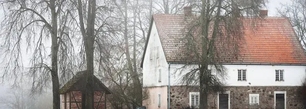 전통적 저택에 지붕에 나무를 클로즈업하고 있습니다 구름낀 눈보라가 몰아칠 것이다 — 스톡 사진