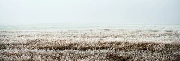 Champ Vert Vide Dans Épais Brouillard Blanc Matin Froid Neige — Photo