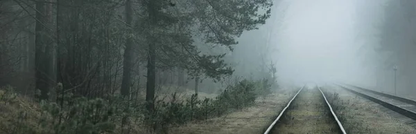 Läskig Gammal Järnväg Genom Barrskogen Tjock Dimma Mörkt Landskap Panoramautsikt — Stockfoto