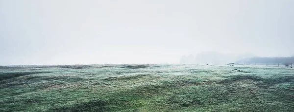 Campo Verde Vuoto Una Fitta Nebbia Bianca Mattutina Gelo Neve — Foto Stock