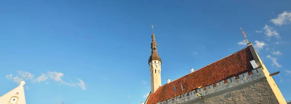 Nízký Úhel Pohledu Tallinn Staré Město Slunečného Letního Dne Kostel — Stock fotografie