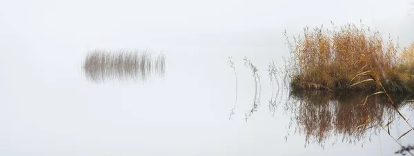 Vue Sur Lac Forestier Dans Épais Brouillard Réflexions Symétriques Sur — Photo