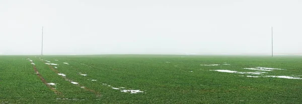 绿色的农田在浓雾中笼罩在阴暗的天空之下 地上新下的雪 变压器杆特写 概念艺术 图形简约主义 生态学 全球变暖 — 图库照片