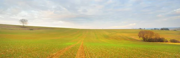 Malownicza Panorama Zaoranego Pola Rolniczego Dramatyczne Niebo Świecącymi Chmurami Miękkie — Zdjęcie stockowe