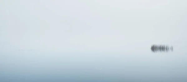 Kilátás Erdei Tóra Sűrű Ködben Szimmetrikus Tükröződések Vízen Természetes Tükör — Stock Fotó