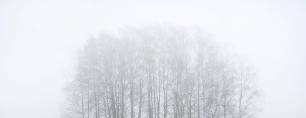 Landsbygdsfält Den Dystra Himlen Tjock Dimma Nysnö Marken Tyskland Mörka — Stockfoto