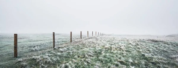 Yoğun Beyaz Bir Sabah Sisinin Içinde Boş Bir Yeşil Kır — Stok fotoğraf