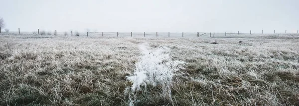 Ένα Άδειο Πράσινο Χωράφι Μια Πυκνή Άσπρη Πρωινή Ομίχλη Παγωμένη — Φωτογραφία Αρχείου