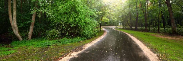 在绿色的夏季落叶树中间修整乡间沥青路 空荡荡的小巷天然隧道环境保护 娱乐主题 拉脱维亚 — 图库照片