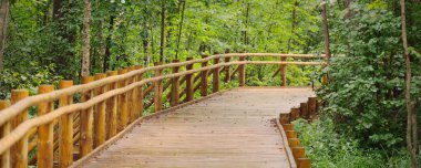 Kamu parkındaki yeşil yaprak döken ağaçların arasından geçen modern ahşap dolambaçlı patika. Danimarka 'da çevre koruma. Yağmur ormanları, eko turizm, eğlence, bisiklet, İskandinav yürüyüş temaları