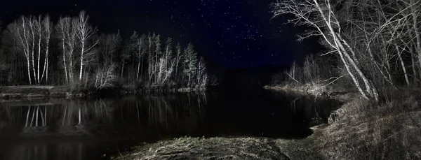 Céu Estrelado Épico Acima Lago Floresta Outono Bétula Silhuetas Coníferas — Fotografia de Stock