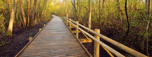 Modern Houten Wandelpad Door Het Wetland Bij Zonsondergang Close Verse — Stockfoto