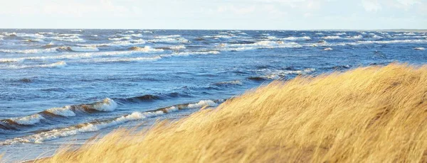 日落时俯瞰波罗的海海岸 沙丘和植物 沙丘草 汉弗莱拉 的特写 浪花和水花四溅 Idyllic海景 早春生态旅游 — 图库照片