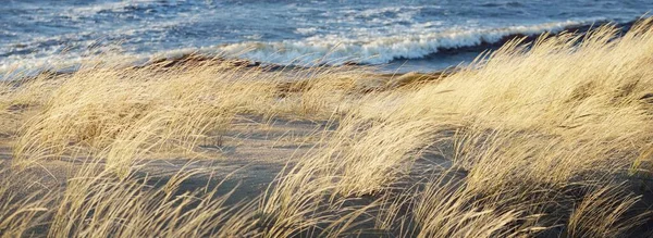 Uitzicht Oostzee Bij Zonsondergang Zandduinen Planten Duingras Ammphila Close Golven — Stockfoto