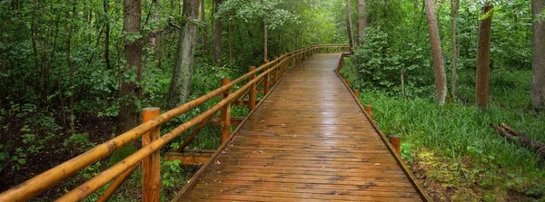 Moderní Dřevěná Vinoucí Stezka Promenáda Zelenými Listnatými Stromy Veřejném Parku — Stock fotografie