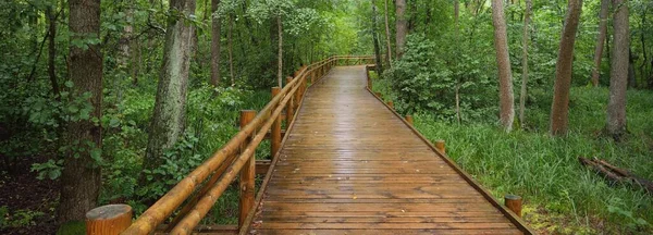 Moderní Dřevěná Vinoucí Stezka Promenáda Zelenými Listnatými Stromy Veřejném Parku — Stock fotografie