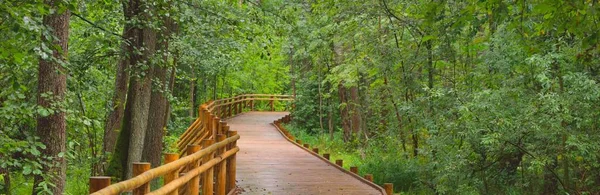 Nowoczesna Drewniana Ścieżka Nawijania Promenada Przez Zielone Drzewa Liściaste Parku — Zdjęcie stockowe