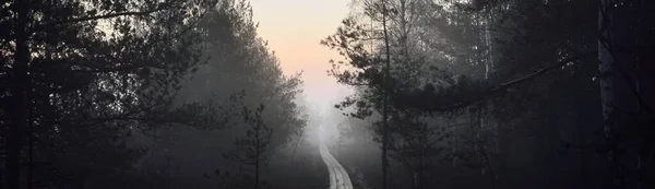 Caminho Madeira Através Floresta Coníferas Denso Nevoeiro Misterioso Nascer Sol — Fotografia de Stock