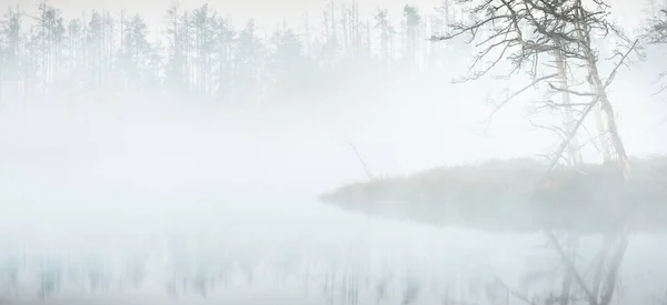 Lac Clair Cristallin Tourbière Dans Brouillard Lever Soleil Forêt Feuilles — Photo