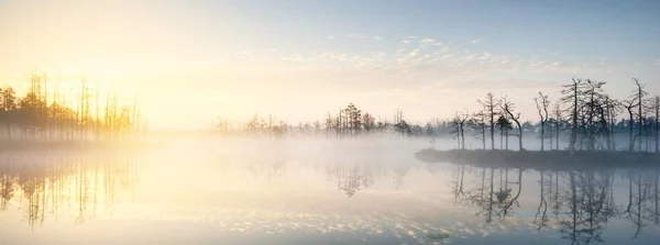 Güneşin Doğuşunda Sisli Berrak Bir Göl Evergreen Ormanı Suda Simetri — Stok fotoğraf