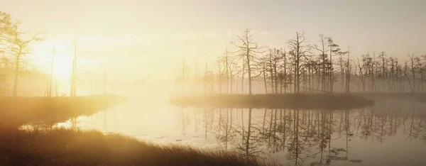 Lac Clair Cristallin Tourbière Dans Brouillard Lever Soleil Forêt Feuilles — Photo