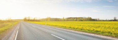 Sarı kolza tohumu tarlasında açık mavi gökyüzü, Letonya 'ya karşı bomboş bir otoyol. Idyllic kırsal kesim. Tarım, yakıt ve gıda sanayii, alternatif enerji, çevre koruma