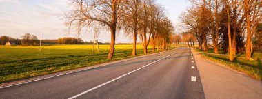 Gün batımında tarımsal kırsal alanlarda boş bir otoyol. Uzun yaprak döken ağaçlardan oluşan bir ara sokak. - Letonya. Bahar manzarası. Yeni asfalt yol. Hız, özgürlük, sürüş kavramları