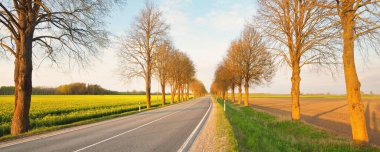 Gün batımında tarımsal kırsal alanlarda boş bir otoyol. Uzun yaprak döken ağaçlardan oluşan bir ara sokak. - Letonya. Bahar manzarası. Yeni asfalt yol. Hız, özgürlük, sürüş kavramları