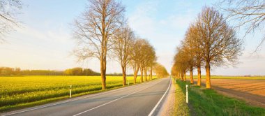 Gün batımında tarımsal kırsal alanlarda boş bir otoyol. Uzun yaprak döken ağaçlardan oluşan bir ara sokak. - Letonya. Bahar manzarası. Yeni asfalt yol. Hız, özgürlük, sürüş kavramları