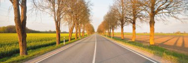 Gün batımında tarımsal kırsal alanlarda boş bir otoyol. Uzun yaprak döken ağaçlardan oluşan bir ara sokak. - Letonya. Bahar manzarası. Yeni asfalt yol. Hız, özgürlük, sürüş kavramları