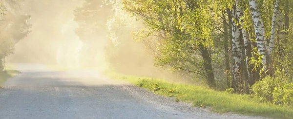 Tom Landsväg Vid Solnedgången Solstrålar Genom Träden Våren Lettland Idyllisk — Stockfoto