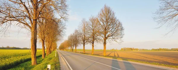 Autostrada Vuota Attraverso Campi Agricoli Campagna Tramonto Vicolo Alti Alberi — Foto Stock