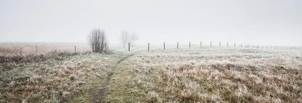 Ścieżka Przez Pole Gęstej Białej Mgle Hoarfrost Pierwszy Śnieg Chroniony — Zdjęcie stockowe