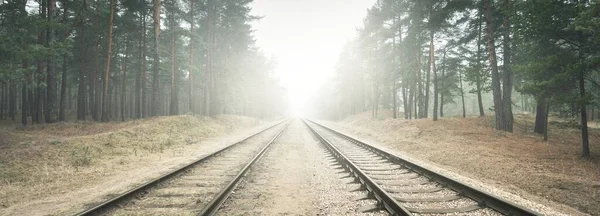 Eisenbahngleise Dichten Weißen Nebel Hintergrund Wald Konzeptlandschaft Güter Und Personenverkehr — Stockfoto