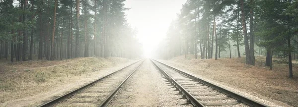 Kalın Beyaz Sisli Tren Yolu Arka Planda Orman Manzara Kavramı — Stok fotoğraf