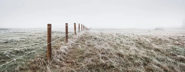 Parcours Travers Champ Dans Épais Brouillard Blanc Froid Première Neige — Photo