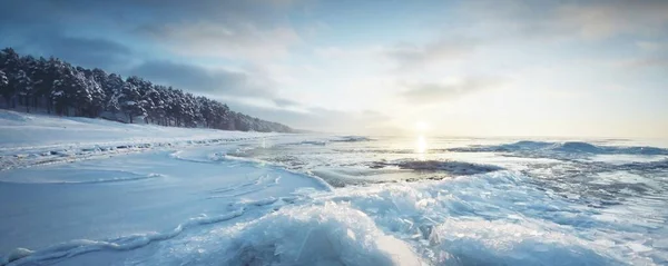 日落时分冻结的波罗的海海岸 冰片的特写 背景上覆盖着积雪的松树林 多彩的云彩 水的对称反射 气候变化 全景视图 — 图库照片